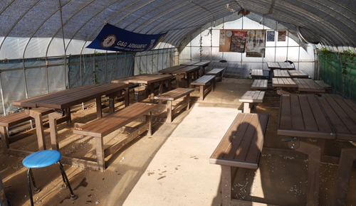 セーフティエリア